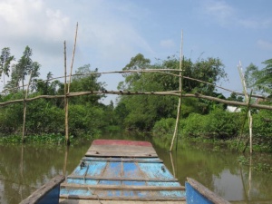"Monkey bridge" used by people to cross the canals. See the next image for the view from below the bridge